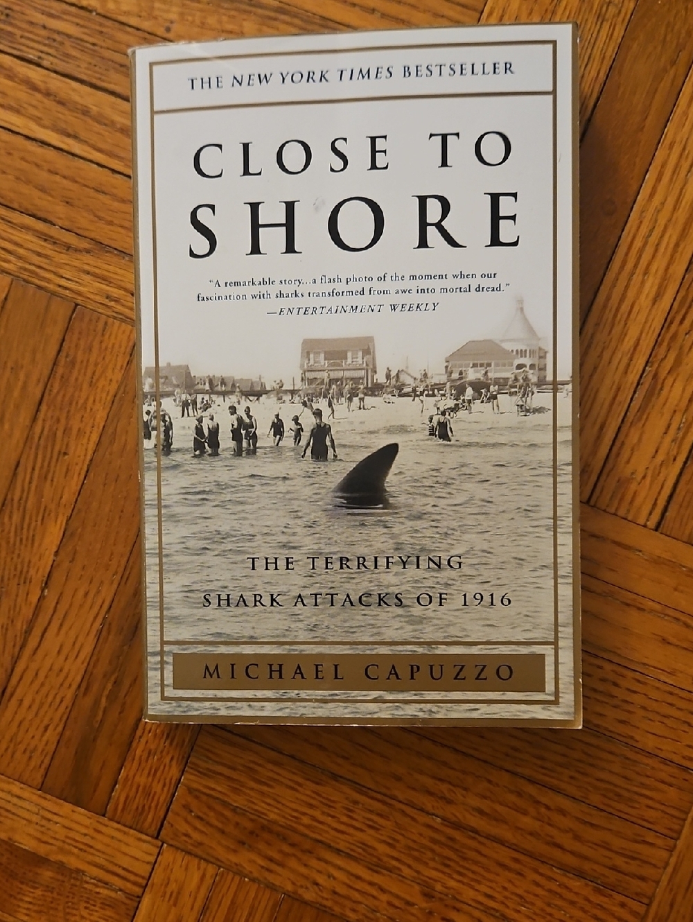 Close to Shore by Michael Capuzzo